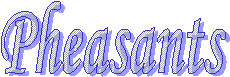 Pheasants